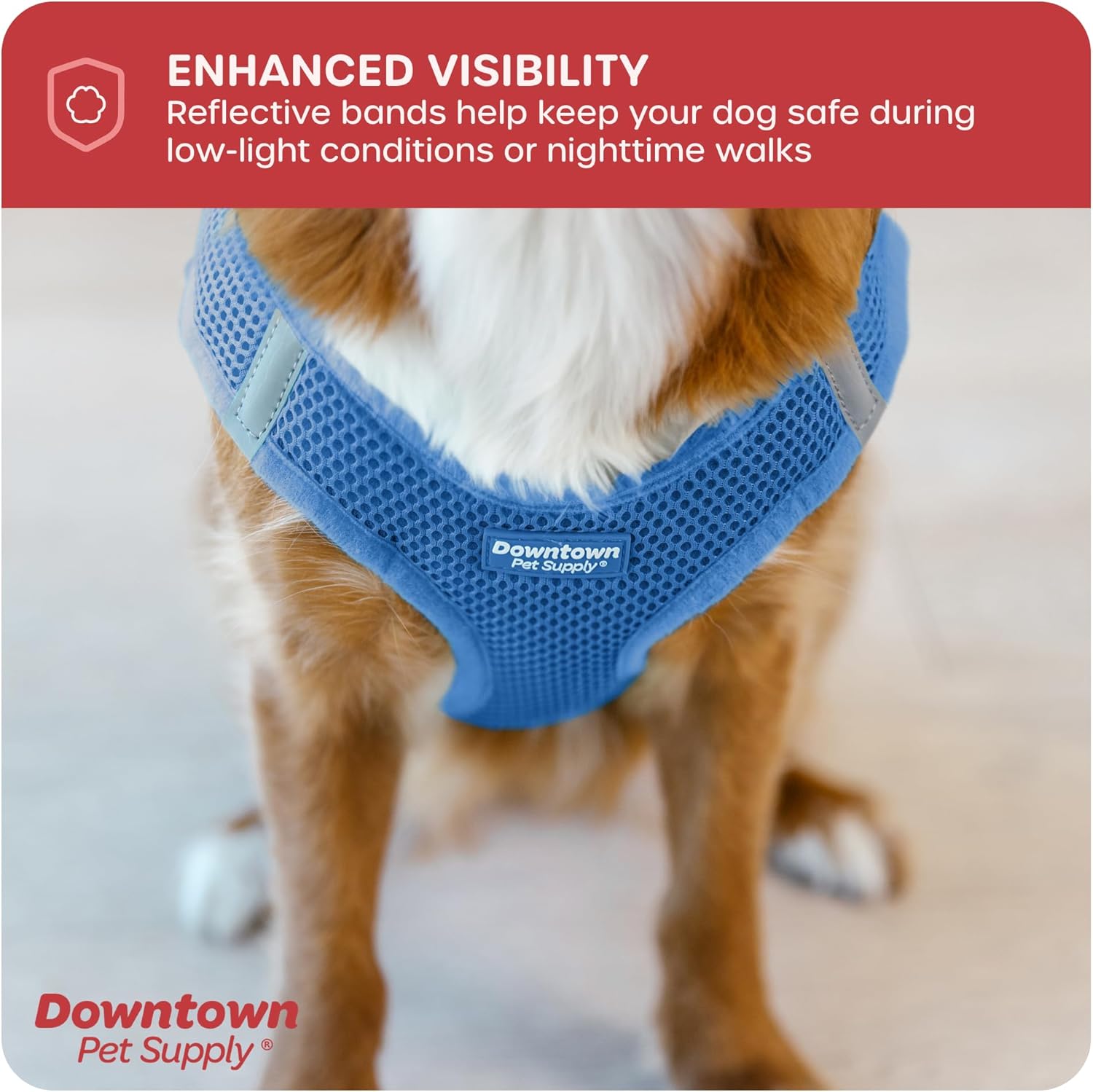 Downtown Pet Supply Step in Dog Harness for Small Dogs No Pull, Medium, Cobalt - Adjustable Harness with Padded Mesh Fabric and Reflective Trim - Buckle Strap Harness for Dogs Medium Cobalt
