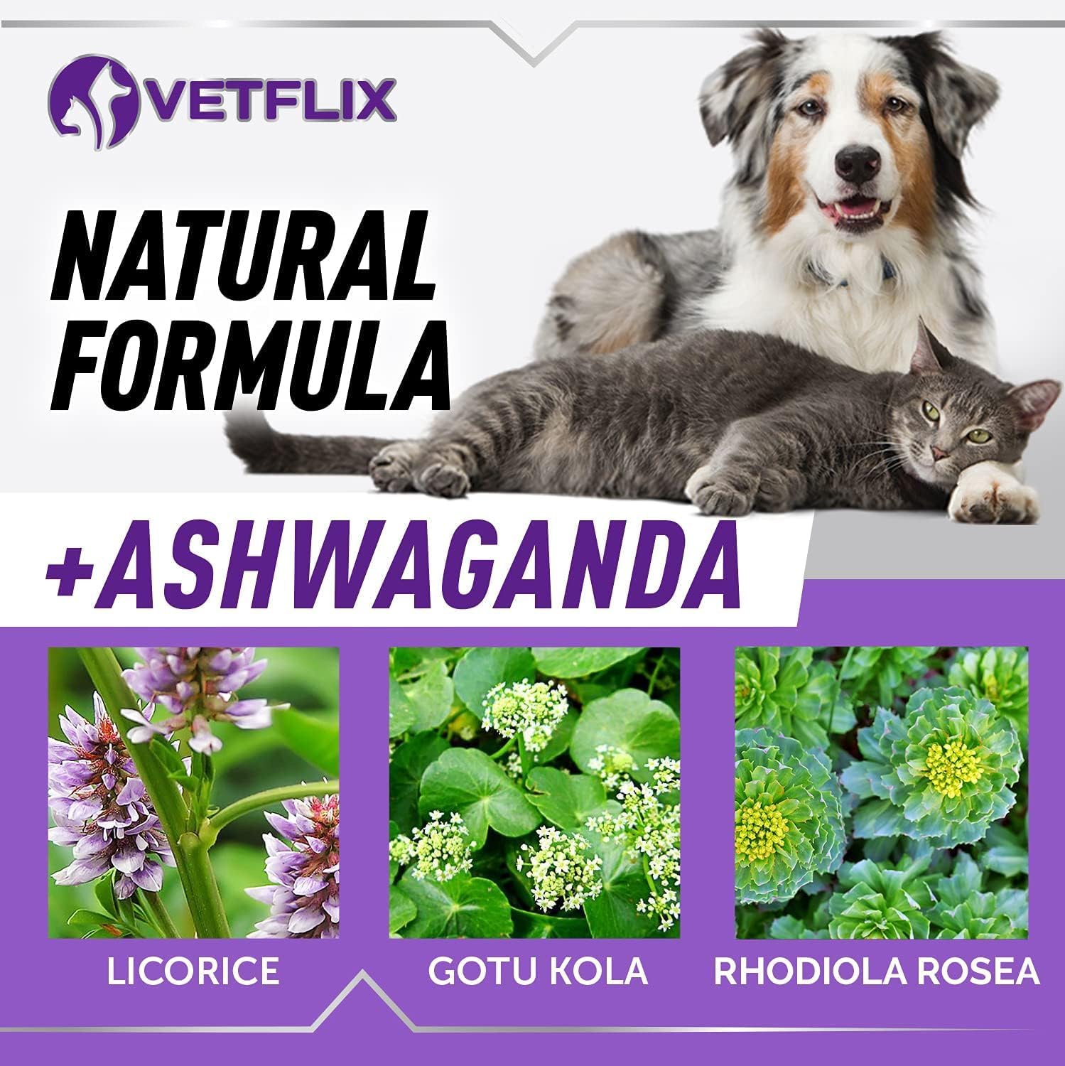 Adrenal Support for Dogs, Cats, Puppies and Kittens - Made in USA - Cushing's and Kidney Support Supplement - Natural Endocrine Health Formula - 2 Fl Oz