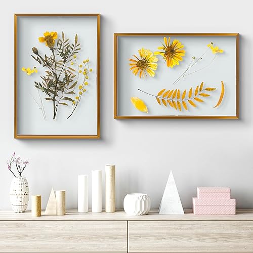 Vista 133 de Frametory, Marco de fotos flotante de 16 x 20 pulgadas, marco de fotos de metal, cristal real, para montaje en pared o mesa (negro, paquete de 2)