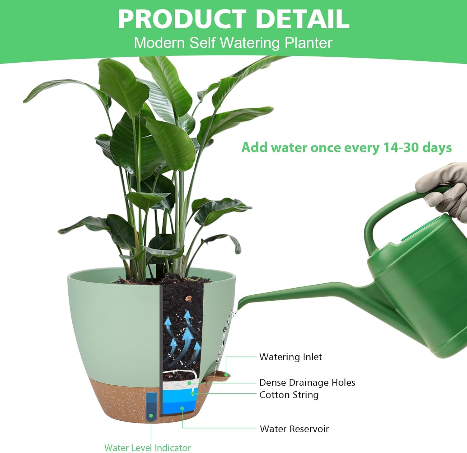 Self Watering Planter Set with Visual Water Level, 6Pack Small Plastic Pot with Drainage Holes and Reservoir Saucers, Modern 8+7+6.5+6+5.5+5 Inch Bottom Watering Flower Pots for Indoor Plant - Green - Image 6