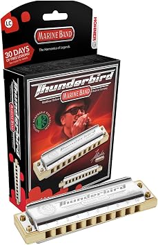 Hohner M2011BX Thunderbird Harmonica, Key of Low B Flat