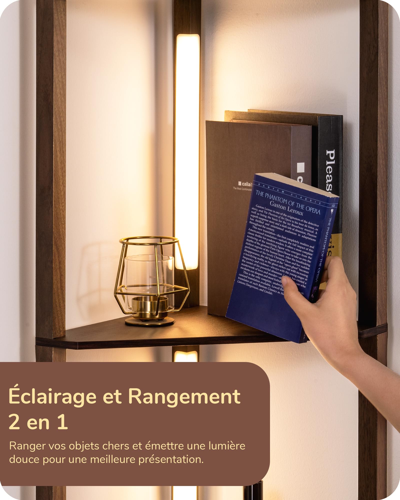 OUTONLIFE Bibliothèque LED Sur Pied, Étagère De Rangement En Bois 5 Niveaux, 60 X 30 X 170cm, Lumière Dimmable Avec Télécommande Et Minuterie, Meuble De Salon Pour Chambre, Bureau (Rustic Brown