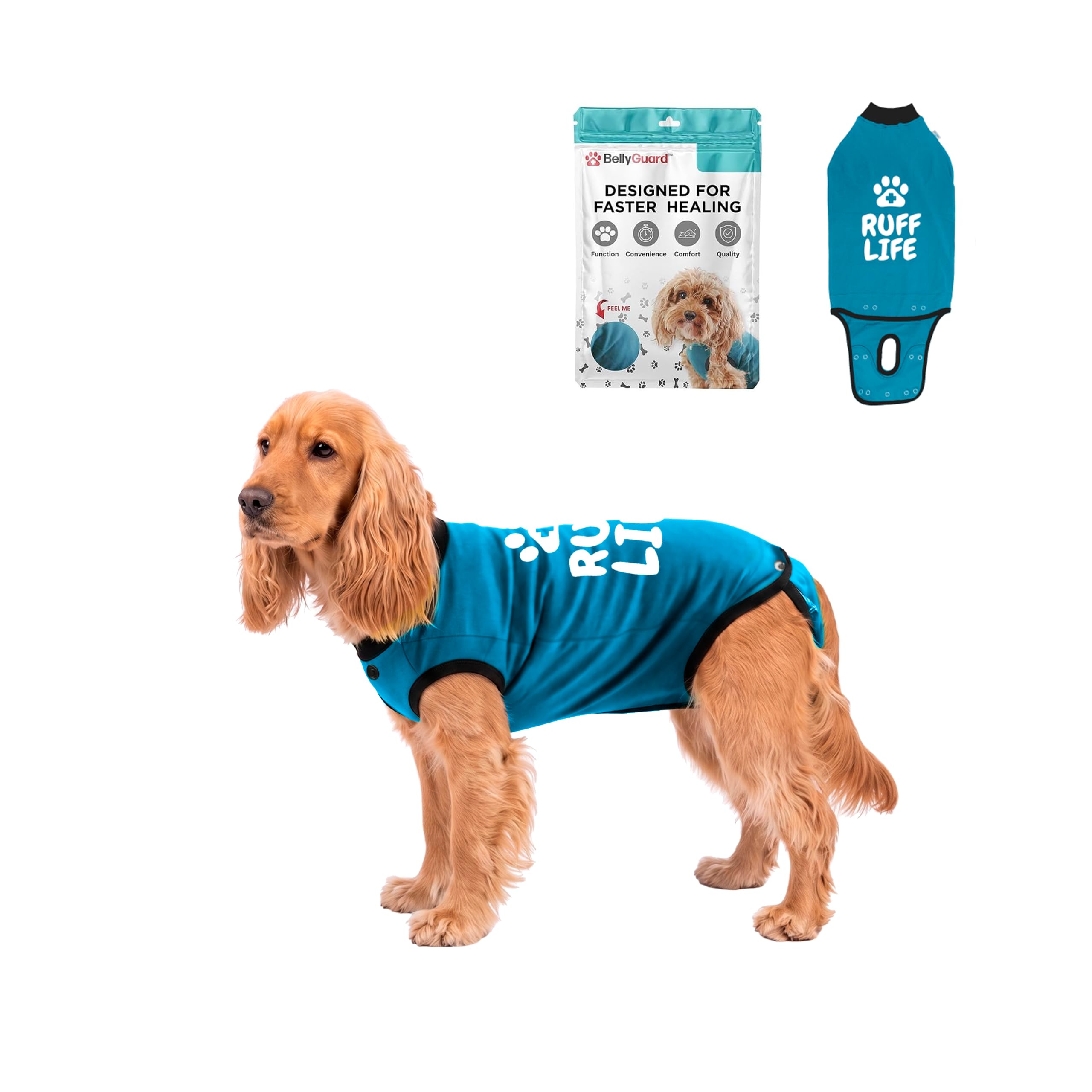 BellyGuard Dog Surgery Recovery Suit, Male Female After Spay Neuter Onesie