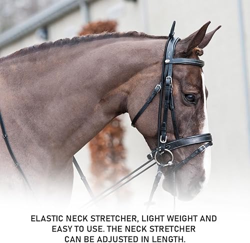 Miniatura 4 de Cuerda de entrenamiento de riendas de caballo ajustables, estirador elástico de cuello de caballo, riendas de nailon para caballos (118 pulgadas de