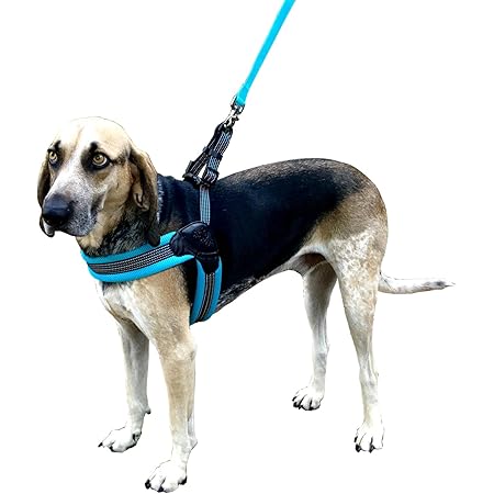 simple dog harness