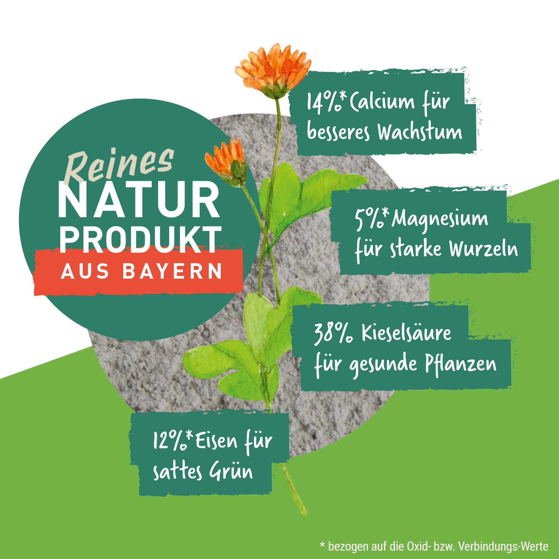 Schicker Mineral Diabas Urgesteinsmehl fein - Pulver 25 kg – Natürliches Gesteinsmehl als Bodenverbesserer – natürlicher Kompostbeschleuniger – Bodenhilfsstoff zertifiziert für den biologischen Anbau