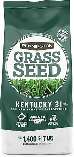 Miniatura 10 de Pennington Kentucky 31 Semilla de Césped Festuca Alta Penkoted 7 lb