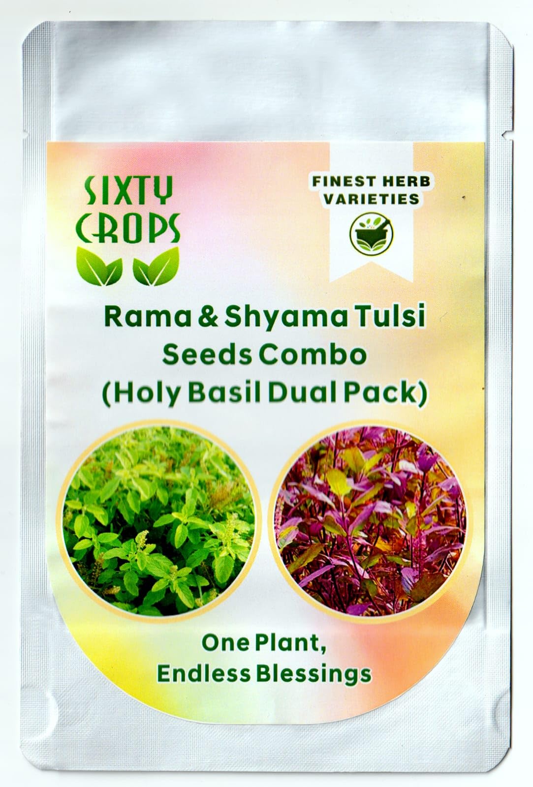 Sixty Crops Rama & Shyama Tulsi Seeds Combo (Holy Basil Dual Pack) | Herbal Medicinal Plant Seeds for Home Garden, Pooja & Ayurvedic Use