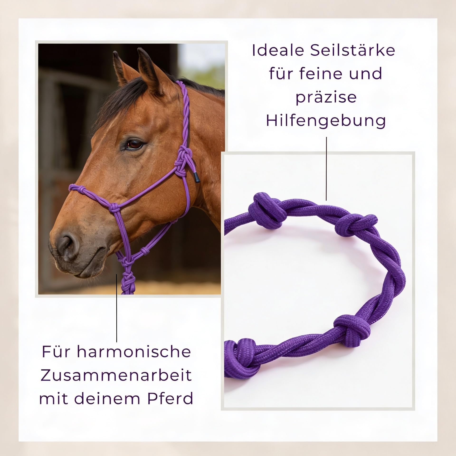 Knotenhalfter Pferd, Trainingshalfter aus stabilem Seil, Rope Halfter Bodenarbeit, verstellbar, Pferdehalfter Pink Lila (Lila, Vollblut (Cob))