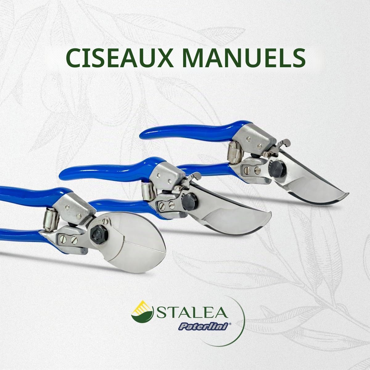 PATERLINI Ciseaux de Sécateur de Jardin - Ciseaux d’élagage tranchants - Cisailles de jardinage faciles à élaguer - Outils de jardinage professionnels - Ciseaux d’élagage (Master BIG)