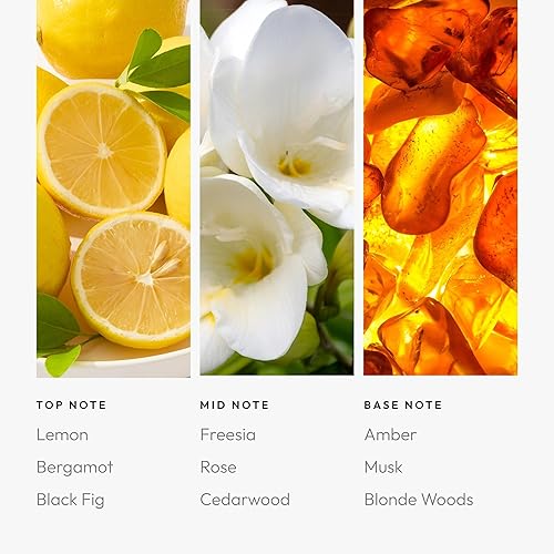 Miniatura 137 de Aroma360 Dream On - Mezcla de aceites aromáticos – 16.9 fl oz – Aceite difusor de aromaterapia perfumado con té blanco sereno, aloe vera curativo