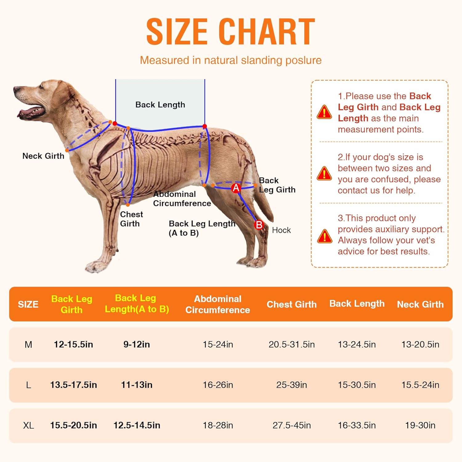 Dog Brace for Back Leg for Support – Breathable Adjustable Dog ACL Knee Brace with Hot/Cold Compress Gel Pack for Arthritis, Swelling & Joint Pain Relief, Right Leg, Size M