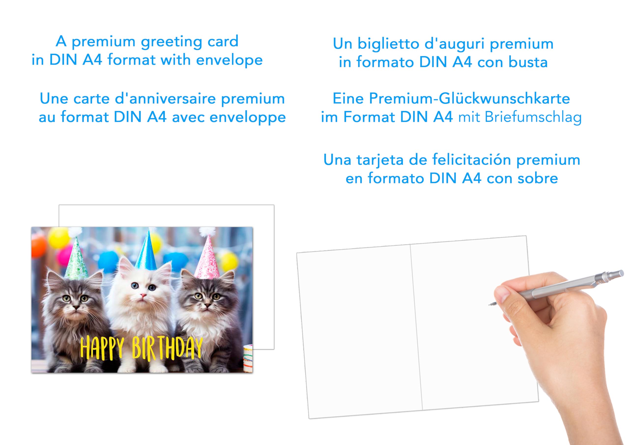 Edition Seidel Biglietto di auguri XXL con busta formato DIN A4. Biglietto di auguri Billet Happy Birthday uomo donna ragazzo adolescente bambini per feste e gatti simpatici humor
