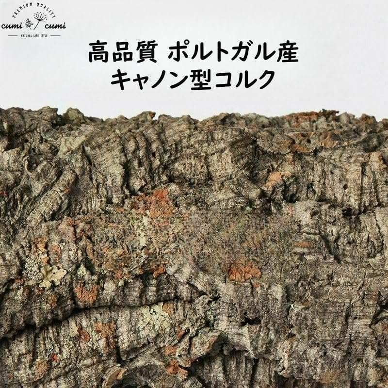 D09 ポルトガル産 キャノンコルク コルク樹皮 コルク板　バージンコルク 251017 ポルトガル産 キャノンコルク コルク樹皮 コルク板 バージン