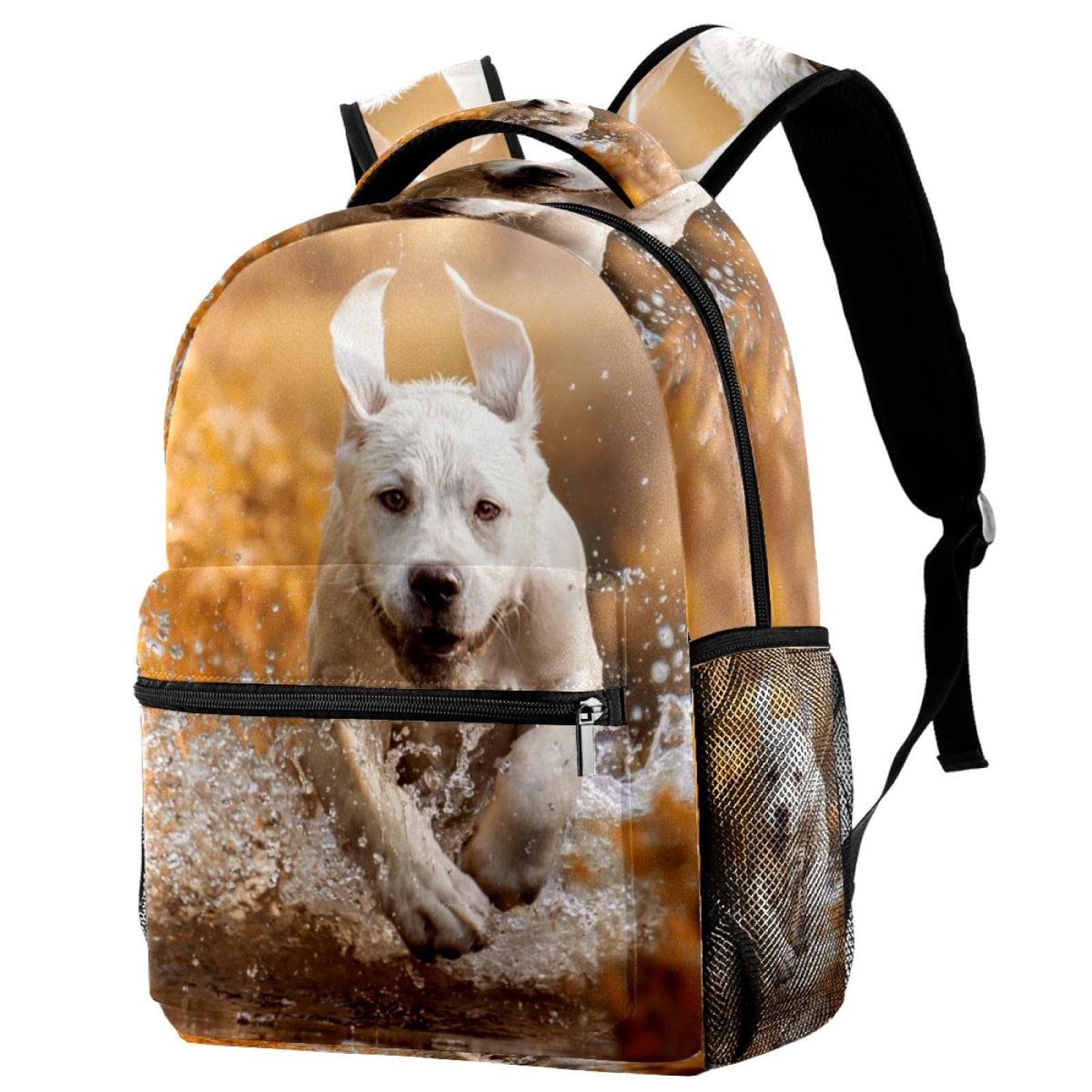 Mochilas ligeras de labrador para evitar dolor de espalda 7