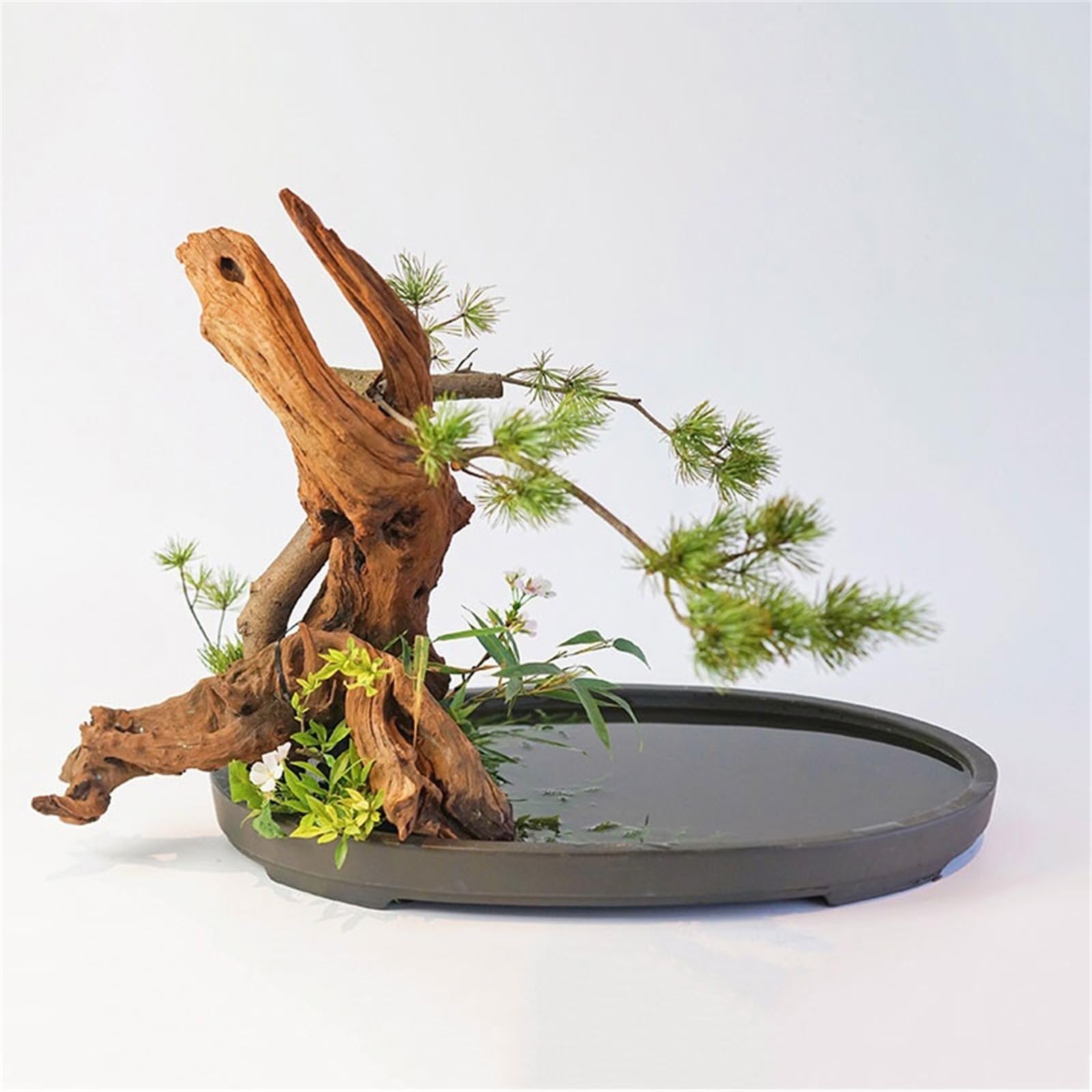Platillo para Plantas Plato Ovalado de Arcilla púrpura for arreglos Florales, Maceta jardín
