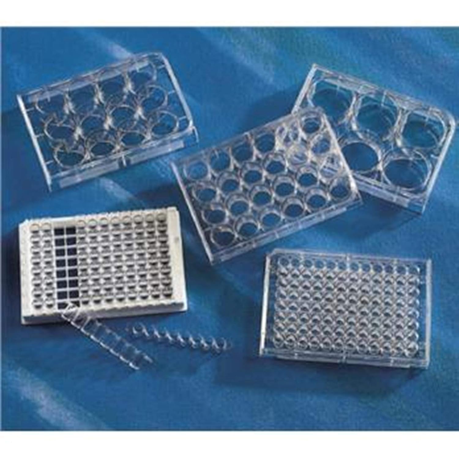 Corning Costar 3548 Polystyrene Sterile Clear Flat Bottom TCTreated
