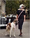 Hands Free Dog Leash, 8.2ft Multifunctional Crossbody Rope with Explosion-Proof Handle and Adjustable Training Hands Free Leash for Small, Medium & Large Dogs Walking, Jogging and Running