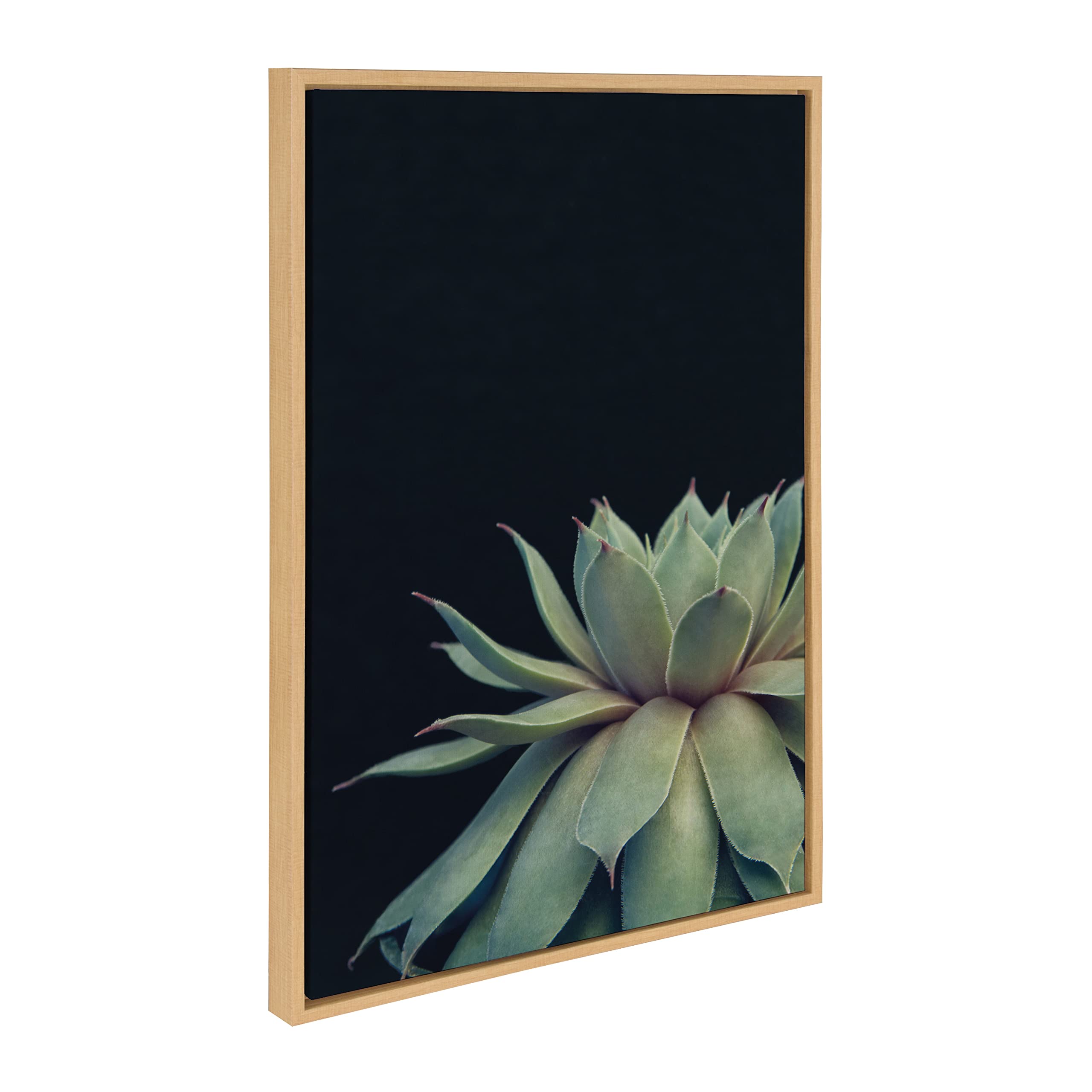 Kate And Laurel Set 3 Stampe Succulente Con Cornice – Quadri Moderni Botanici Per Parete, Naturale - 2