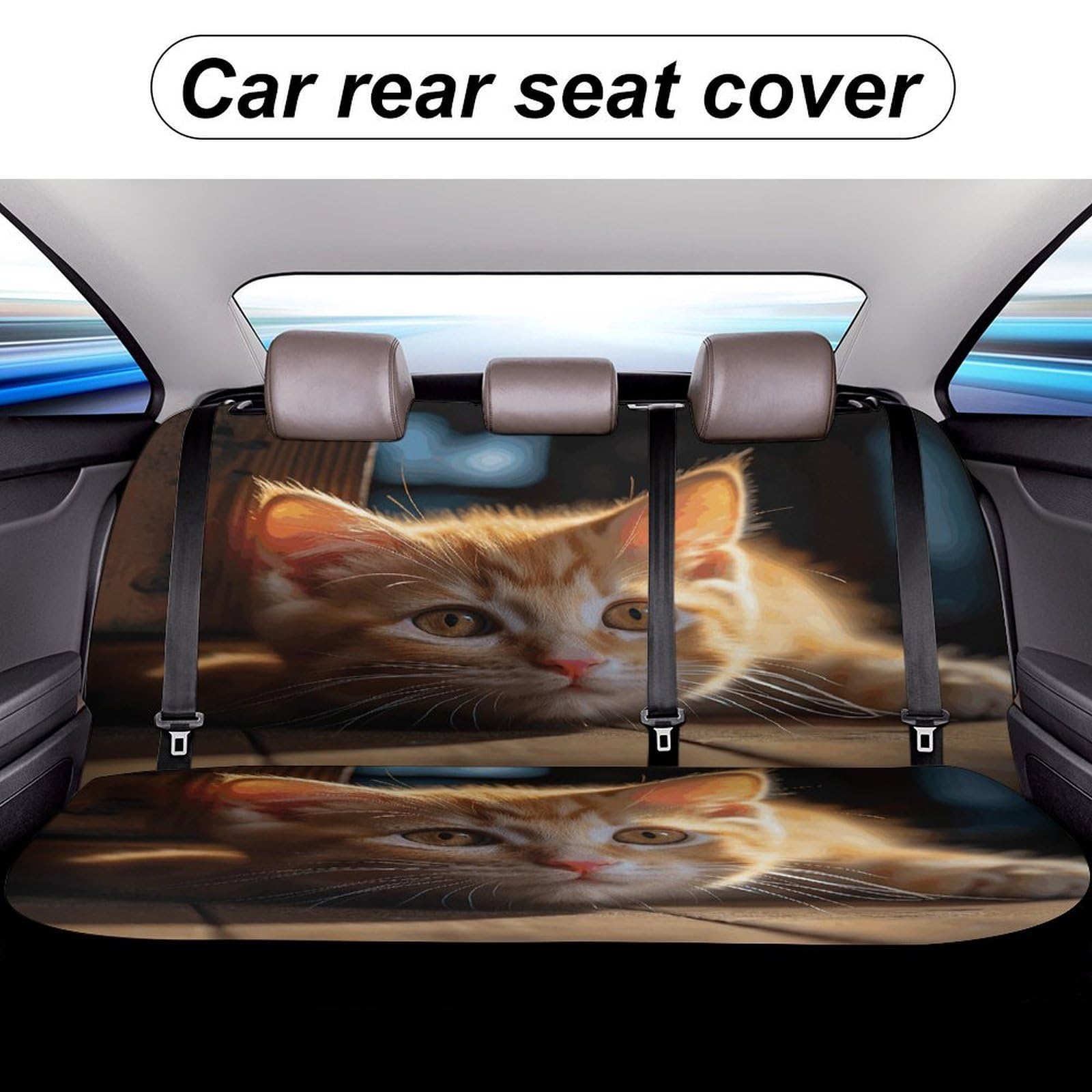 Autositzbezug für Rückbank, kleine Katze, Autositzbezüge für Auto, LKW, Van, SUV, Hundeautositzbezug, universal, waschbar