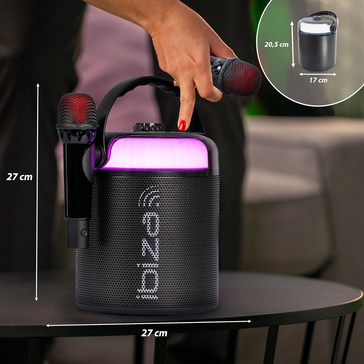 Ibiza - Pack Karaoké Enceinte Bluetooth Autonome Portable Ibiza Sound KARAHOME-BK 120W USB 2 Micros sans Fil - Effet Lumière Party-ASTRO6