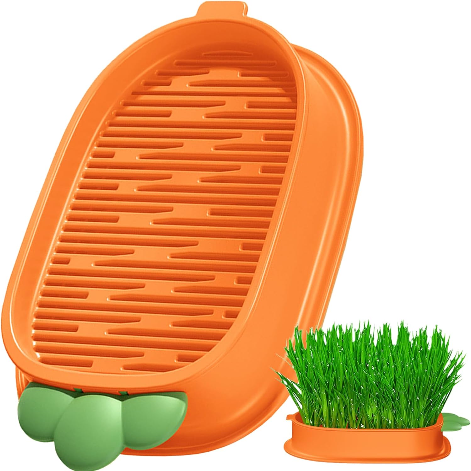 Plant Germination Trays, Cat Grass Planter Box, Hydroponic Cat Grass