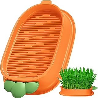 Plant Germination Trays, Cat Grass Planter Box, Hydroponic Cat Grass Planter Home Soilless Kit for Indoor Cat Grass Seeds Starter Tray Cat Grass Growing Kit, Household Cat Plant Pot