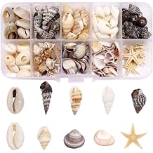 KSVFTB 250 Pcs Sea Shells, Natural Seashells, Mixed Shells Collection, Multipurpose Shells for Crafting, Natural Shell with Starfish & Sea Snail for Bracelet Jewelry, Fish Tank, DIY Crafts