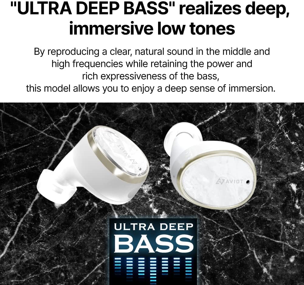AVIOT TE-BD11tR Earbuds