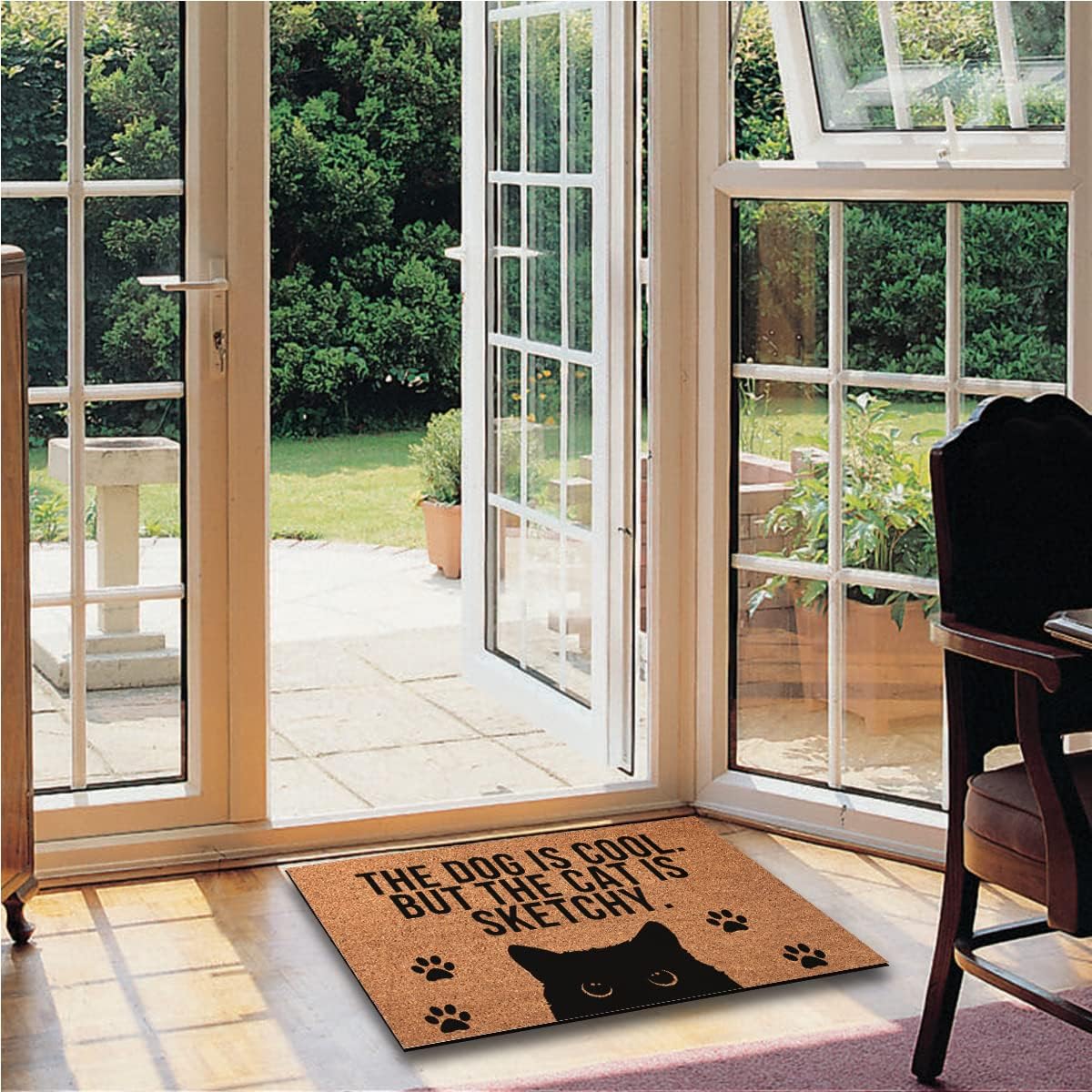 The Dog is Cool But The Cat is Sketchy Indoor Front Door Mat for Front Door Inside, Welcome Mats Outdoor Funny Door Mats Outdoor Welcome Mats 30"X18"