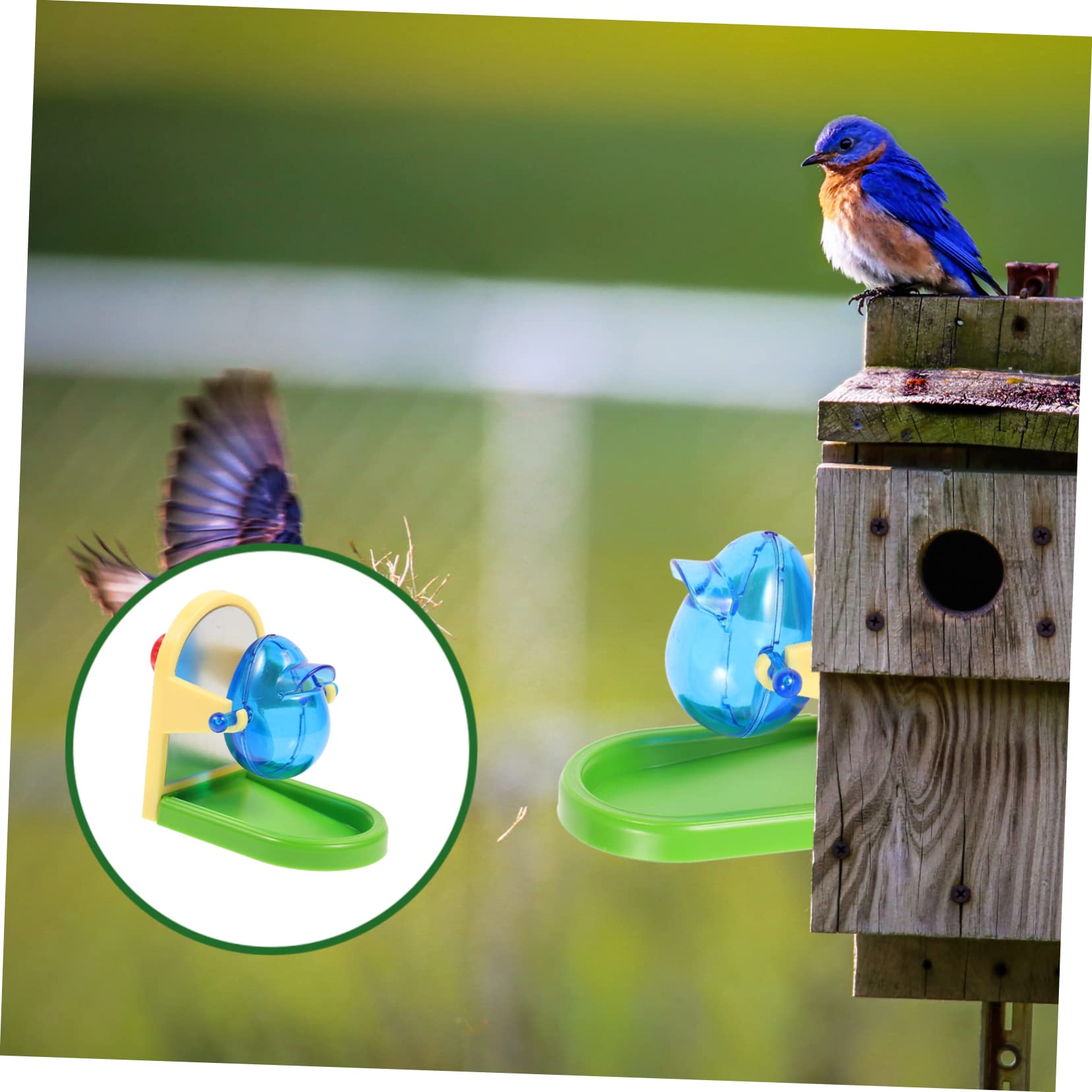 HEMOTON Juguete de Entrenamiento para Loros y Pájaros de Plástico, Fácil de Transportar y Almacenar, Estructura Simple para Estimular la Inteligencia Entretenimiento Color Aleatorio