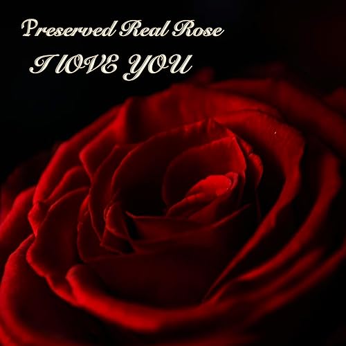 Miniatura 4 de Regalos para el día de San Valentín para ella, collar de rosa real preservada, regalos de cumpleaños para mujeres, regalos del día de San Valentín