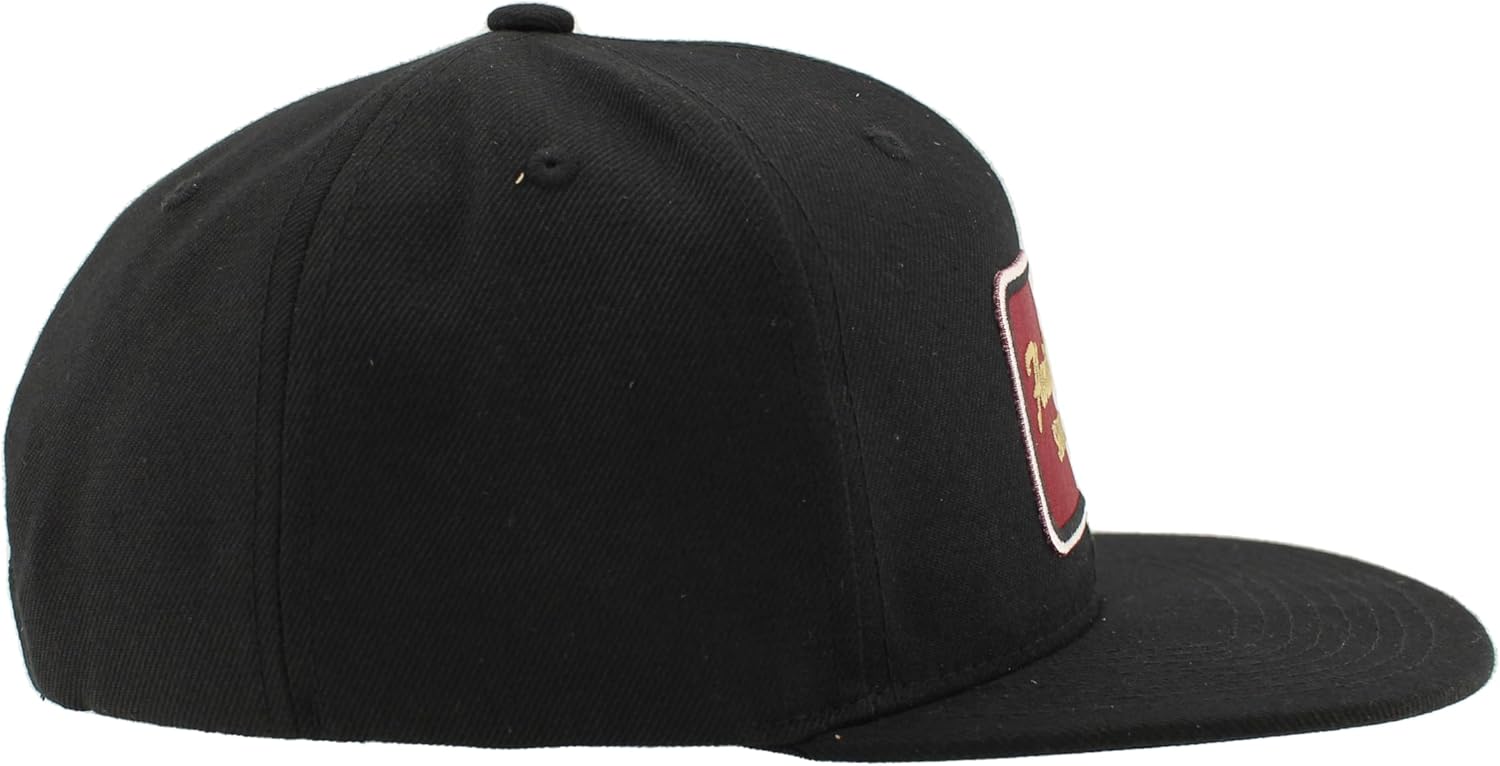 Florida State Seminoles NCAA Officially Licensed Hat Flat Snapback Z11 Brick Black