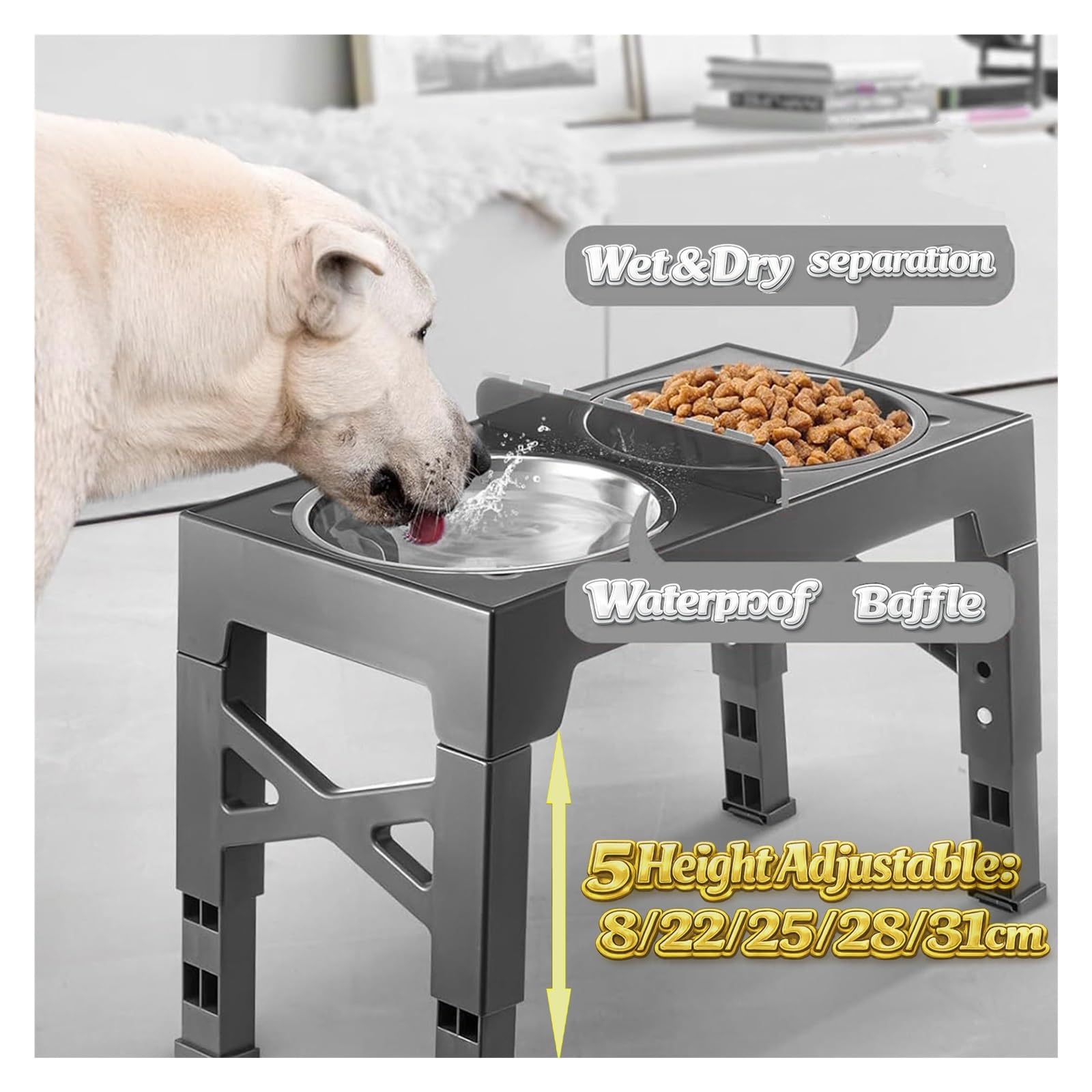 1 set di ciotole for cani rialzate pieghevoli regolabili, mangiatoia for animali rialzata in acciaio inossidabile(FR-Type A)