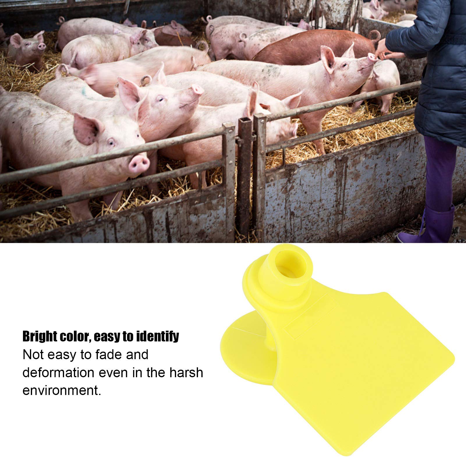 100 Étiquettes D'Oreilles Bétail Vétérinaires Vertes - Identification Unique Et Confort Animal
