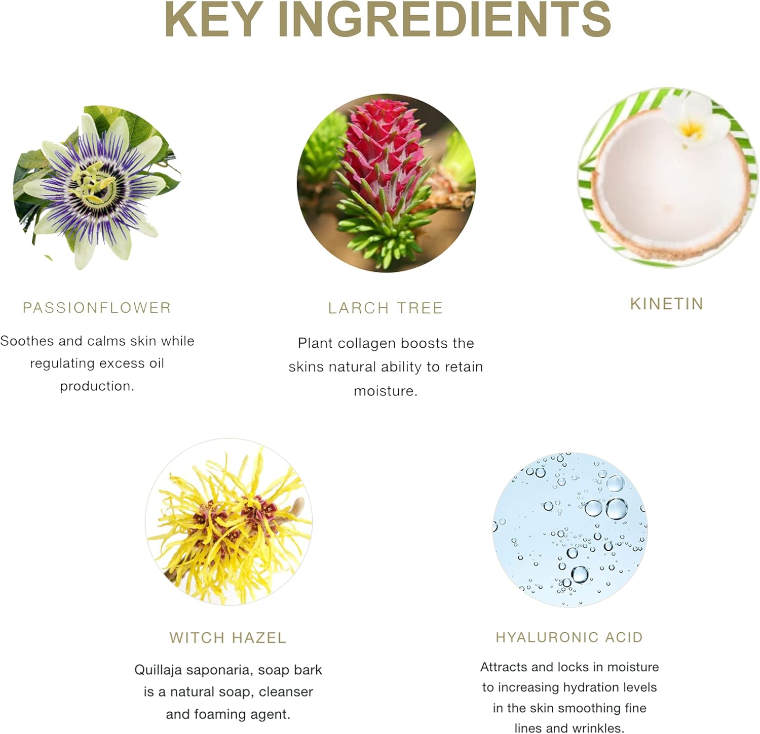 Pure Fiji Coconut Water Hydrating Toning Mist Refreshes, Soothes & Invigorates Skin, Face Mist Hydrating Spray Cruelty-Free for All Skin Types, 4.39 Oz - Image 5