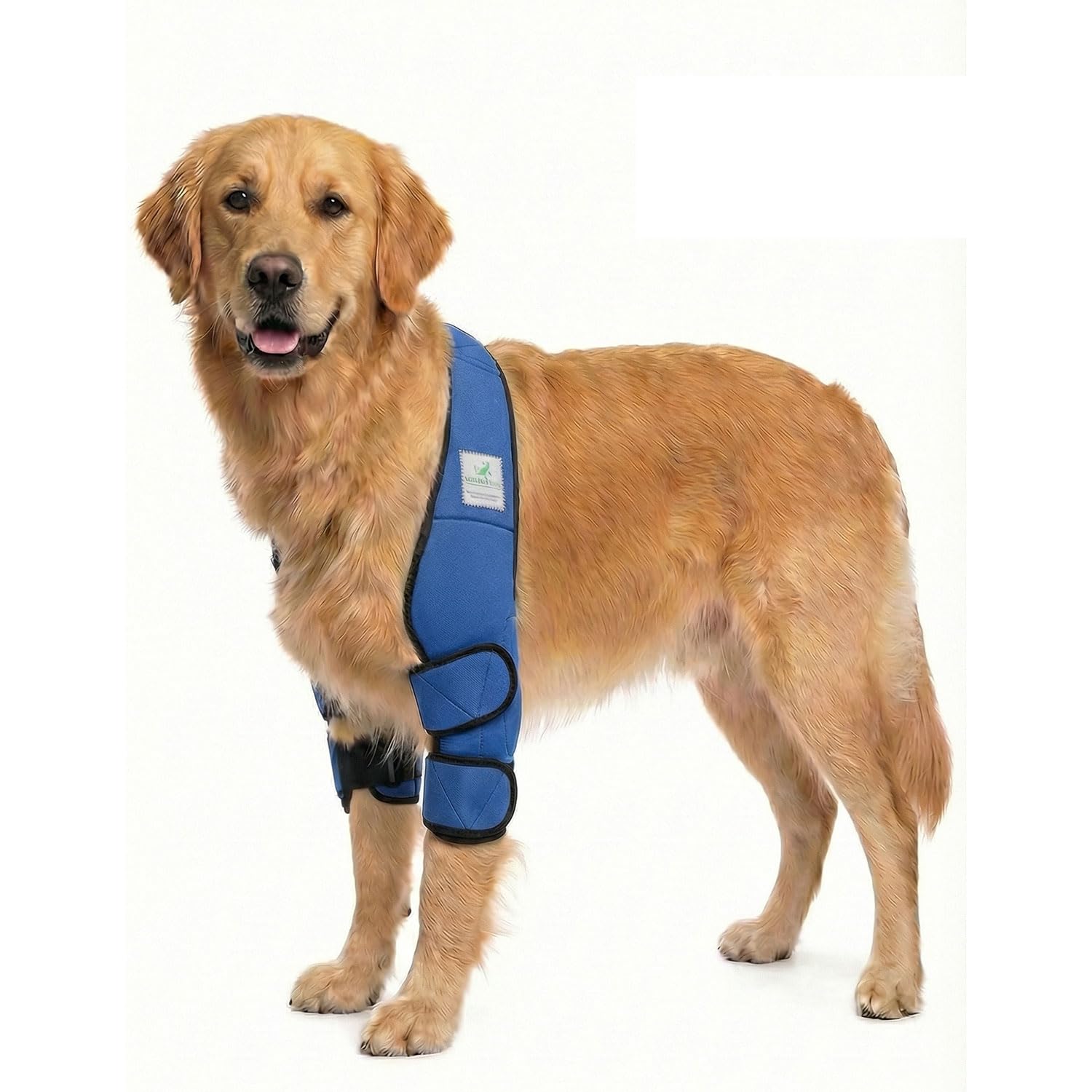 Tutore contro piaghe da decubito/tutore per calli/benda per il gomito/tutore per cani con igroma - Blu - XL