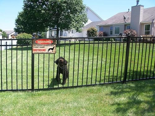 Elipos Tin Sign Beware Dog Tag Fence Greyhound Sign This Property Is Protected Funny Metal Tin Sign Wall Art Deco Vintage Metal Tin Sign 8X12Inch #TOP5