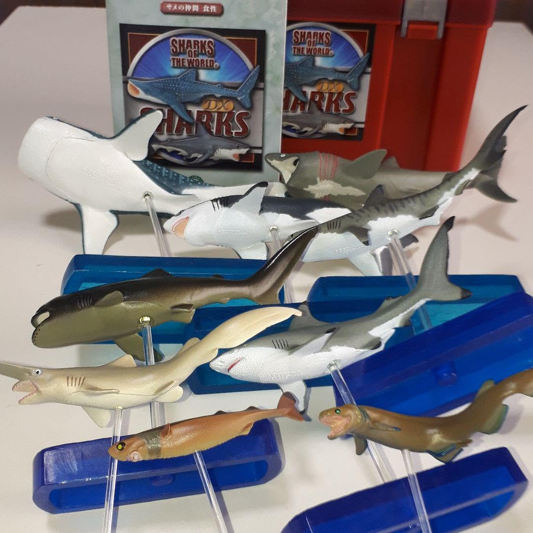 値下げしました。サメのからだ 立体モデル大図鑑 コブラ タランチュラ 3冊セット 動物 生物 立体図鑑 シャークボックス / カロラータ オンライン