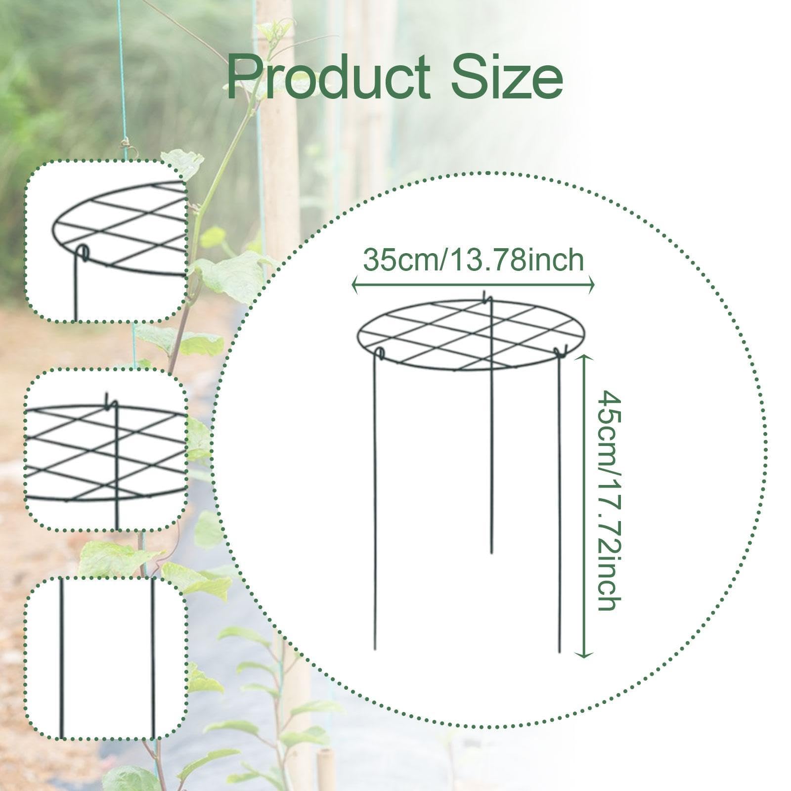 Lot de 3 Cages et Supports pour Pivoines, Tuteurs en Métal pour Plantes de Jardin, Pratiques pour La Croissance des Plantes D'extérieur et, Grille