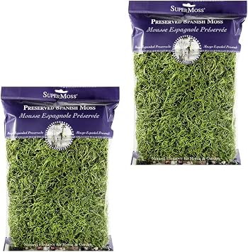Super Moss 26912 Spanish Moss Preserved, Grass, 8oz 200 Cubic inch 2