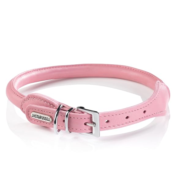 Jack & Russell Collar para Perro Redondo de Piel Acolchado - Collar de Búfalo Baxter (Rosa, M 35,0-41,0 cm)