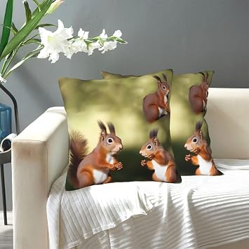 Cute Squirrels Throw Pillow Covers Super Soft Cozy Pillows Case Morden Decorative Cushion Cover 20"X20" for Sofa Couch Bed Home Decor