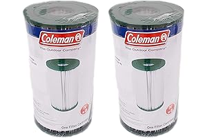 Coleman Reusable Swimming Pool Filter Pump Cartridges