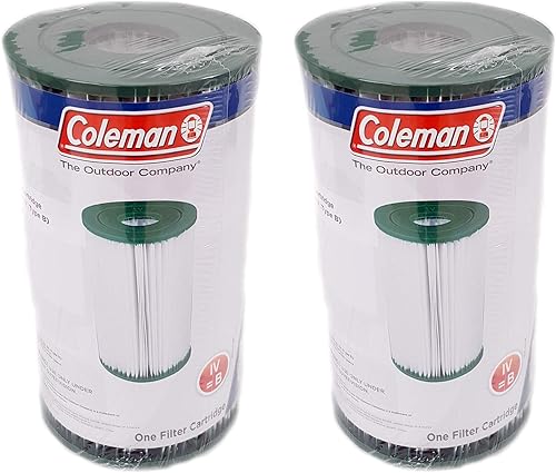 Coleman 90358E Cartuchos de repuesto para bombas de filtro de piscina tipo IV/tipo B para bombas de filtro de 2,500 galones por hora (paquete de 2)
