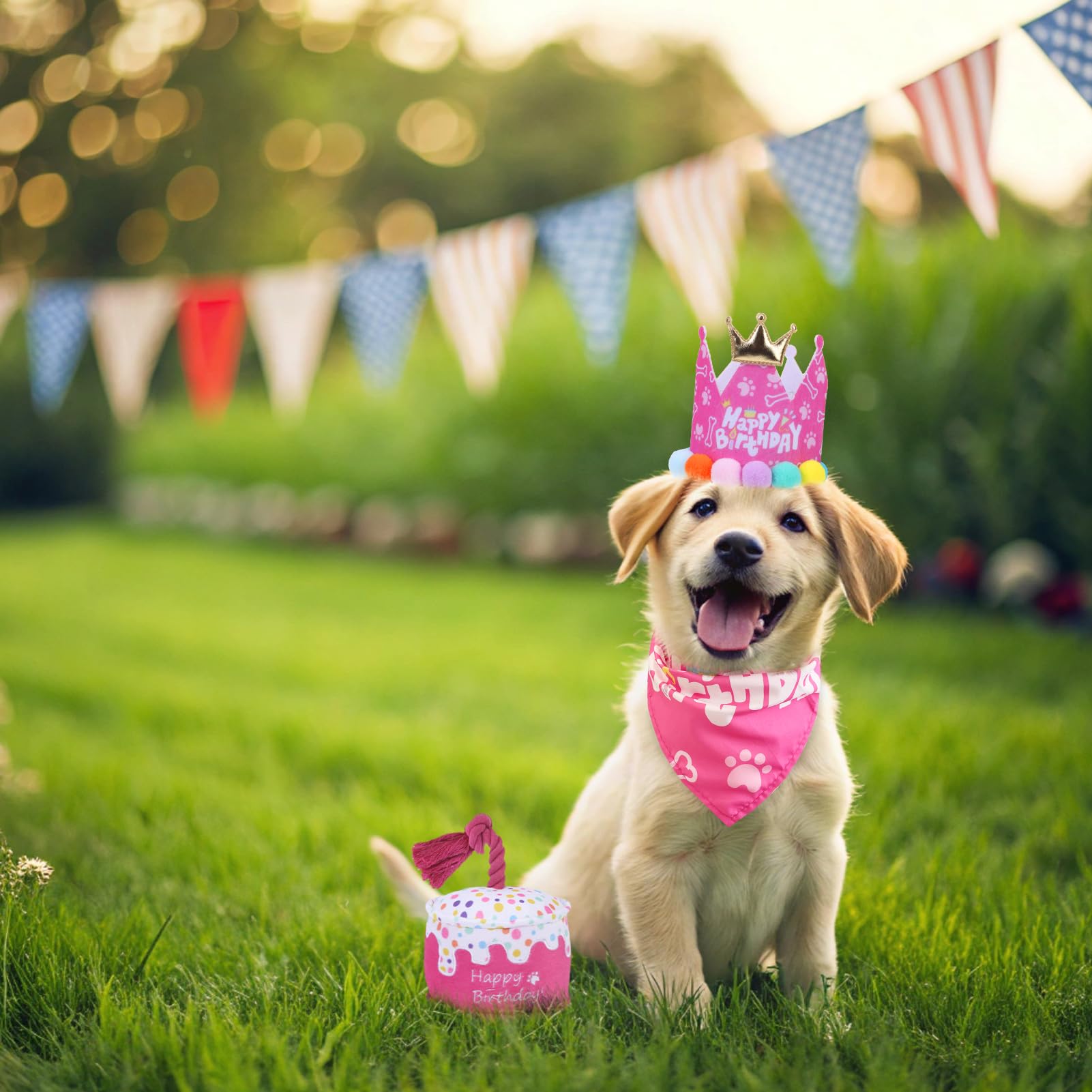 Set Compleanno Per Cani - Cappellino, Bandana E Giocattoli Cigolanti, Per Taglie Piccole