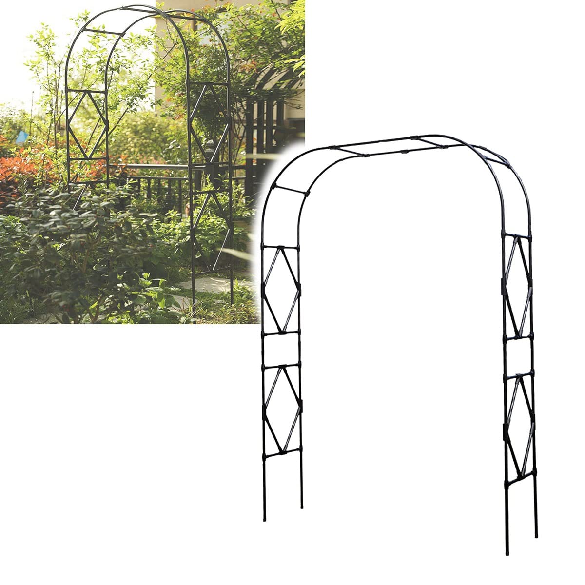 Plantes grimpantes pergola de jardin robuste pour tuteurer vos rosiers et habiller une allée