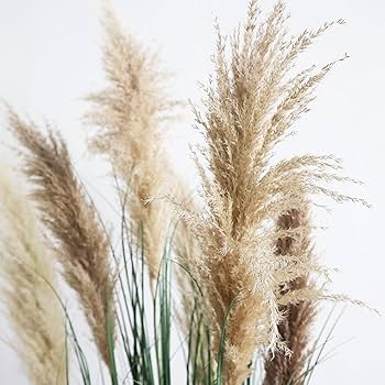 Amazon｜人工観葉植物 リアル 人工の葦の木 本物そっくり インテリア