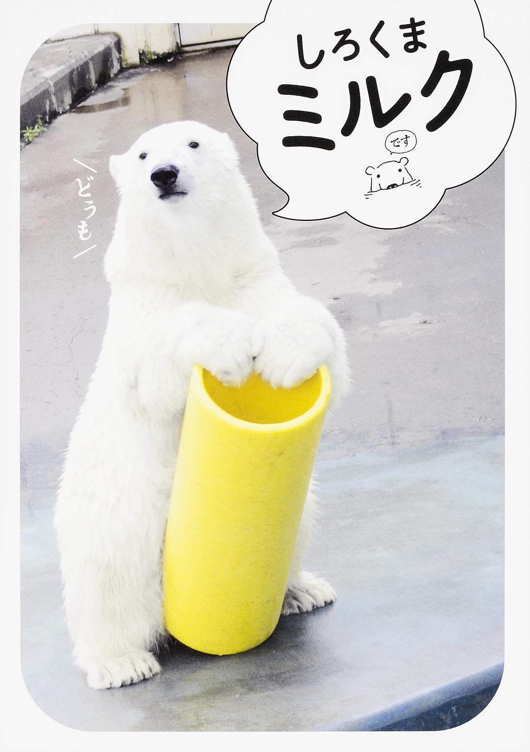 しろくまミルク 本 通販 Amazon