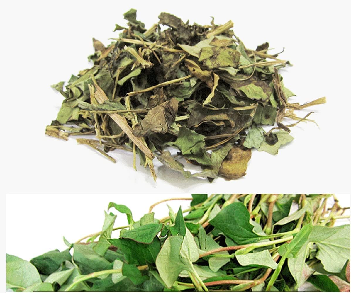 Organic Natural Pure Houttuynia Cordata(Eoseongcho) Extract Powder -10.58 Ounce (300g) - Image 3